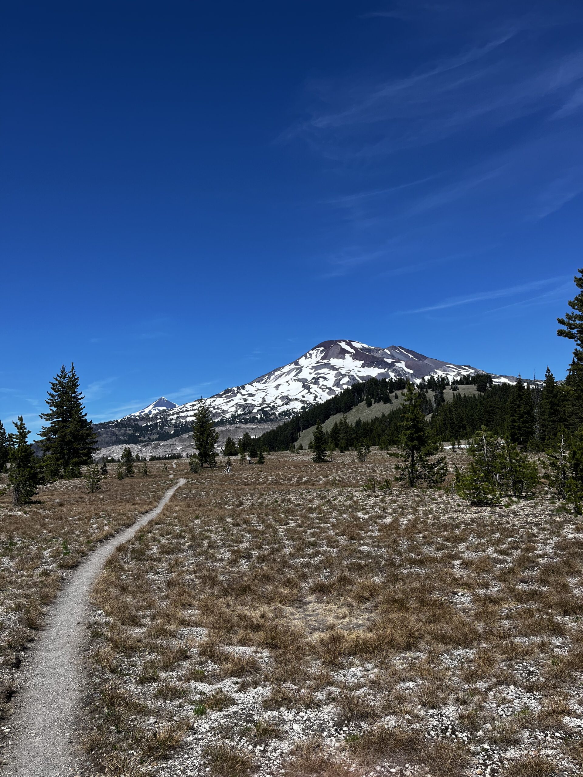 PCT – Oregon