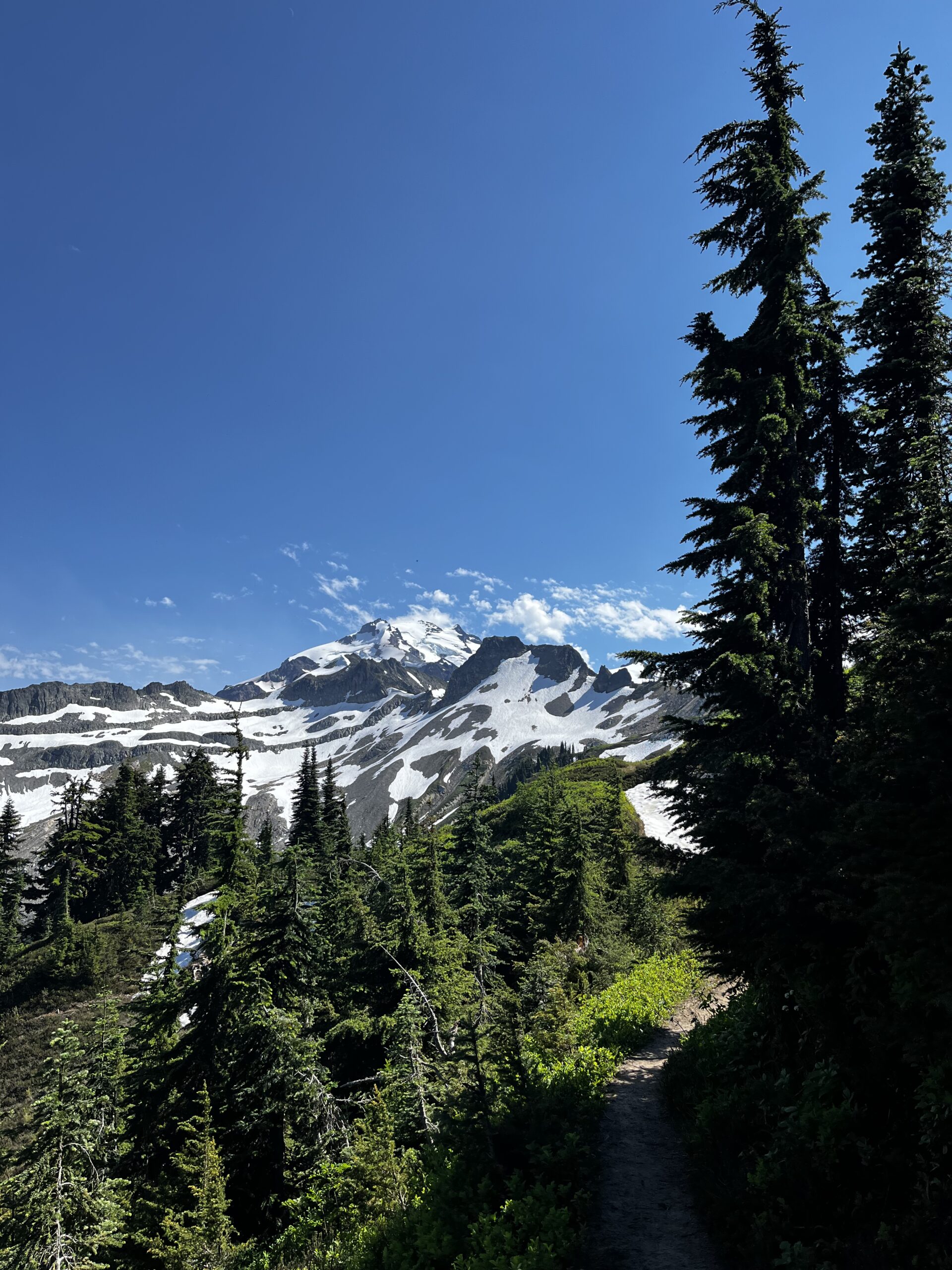 PCT – Washington